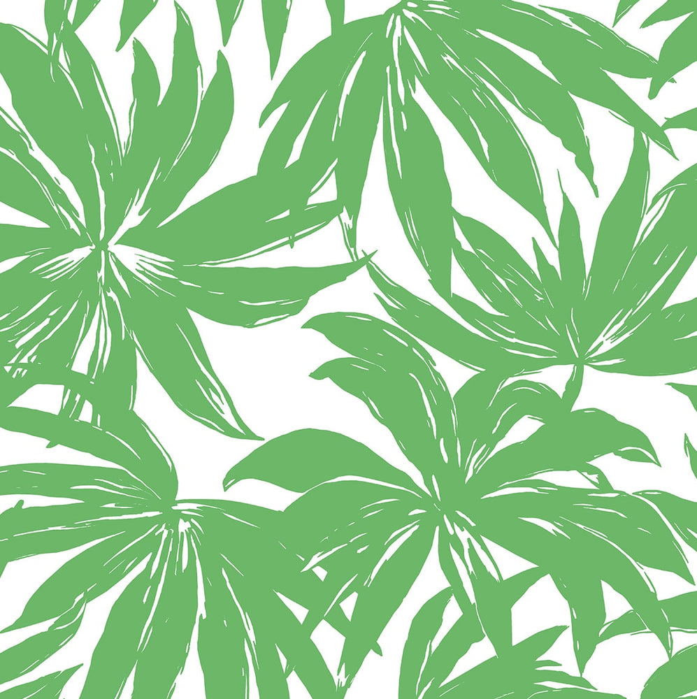 DBW9112 palm leaf wallpaper from the West Boulevard collection by Daisy Bennett Designs