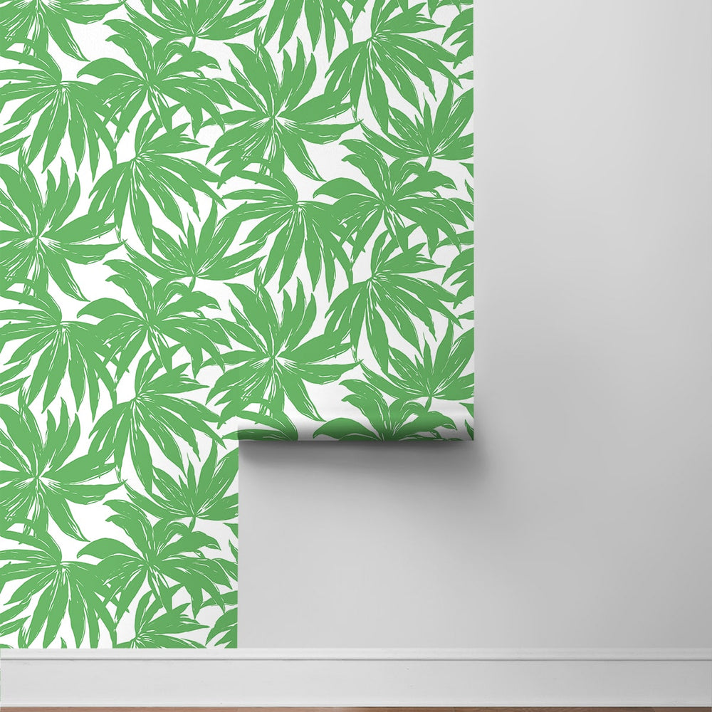 
                  
                    DBW9112 palm leaf wallpaper roll from the West Boulevard collection by Daisy Bennett Designs
                  
                