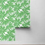 DBW9112 palm leaf wallpaper roll from the West Boulevard collection by Daisy Bennett Designs