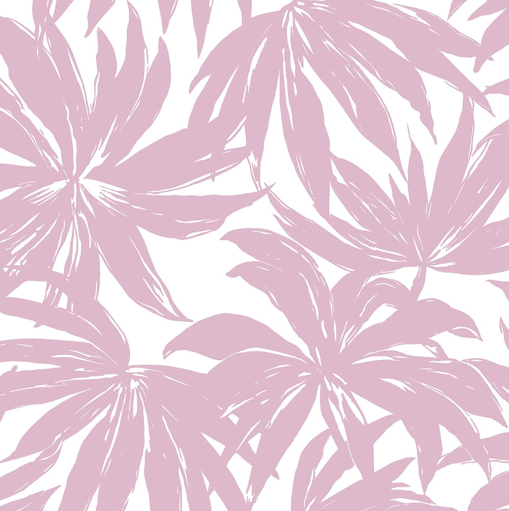DBW9115 palm leaf wallpaper from the West Boulevard collection by Daisy Bennett Designs