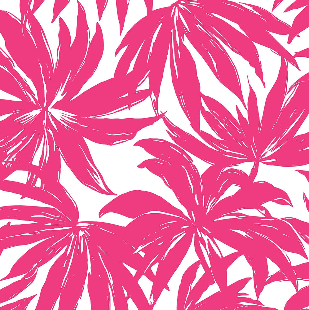 DBW9117 palm leaf wallpaper from the West Boulevard collection by Daisy Bennett Designs