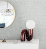 DC60704 faux wallpaper decor from the Deco 2 collection by Collins & Company