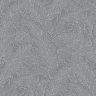 DC61708 banana leaf wallpaper from the Deco 2 collection by Collins & Company