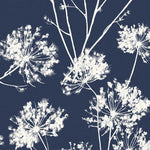 ET10412 dandelion fields floral wallpaper from Seabrook Designs