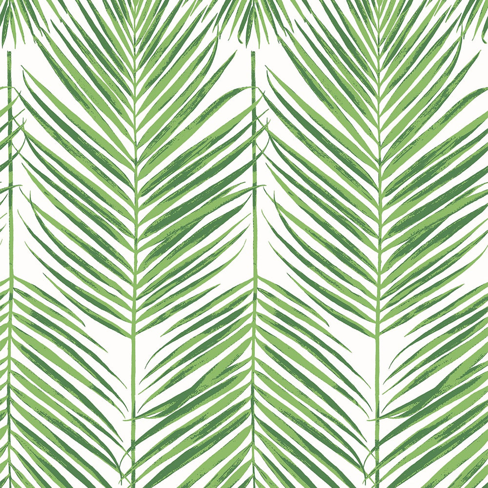 ET10704 palm leaf wallpaper from Seabrook Designs