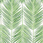 ET10704 palm leaf wallpaper from Seabrook Designs