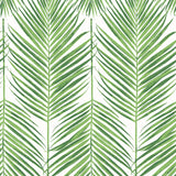 ET10704 palm leaf wallpaper from Seabrook Designs