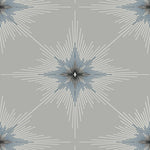 North star wallpaper ET11408 from Seabrook Designs