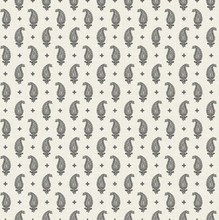 FC62400 paisley wallpaper from the French Country collection by Seabrook Designs
