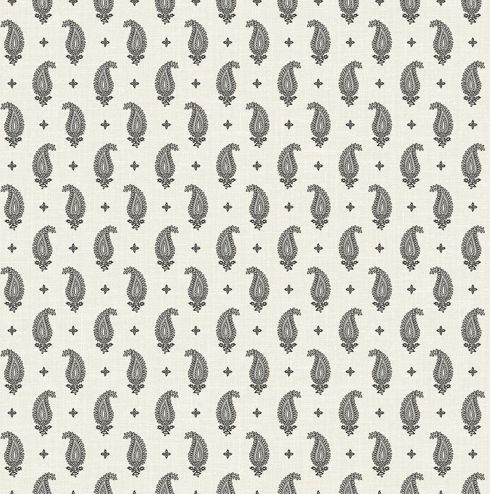FC62400 paisley wallpaper from the French Country collection by Seabrook Designs