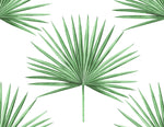 HG10414 palm leaf peel and stick wallpaper from Harry & Grace