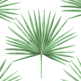 HG10414 palm leaf peel and stick wallpaper from Harry & Grace