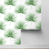 HG10414 palm leaf peel and stick wallpaper roll from Harry & Grace