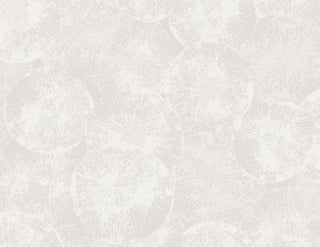 JP10700 wallpaper from the Japandi Style collection by Seabrook Designs