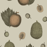 Botanical wallpaper SJ1005 from Sharon Jane Studio