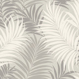 LN10108 via palma tropical palm leaf wallpaper from the Luxe Retreat collection by Lillian August