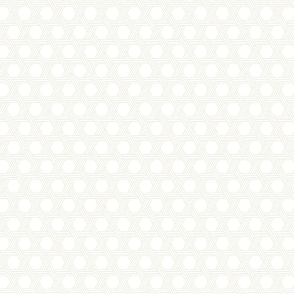 
                  
                    LN10200 Cabana wicker geometric wallpaper from the Luxe Retreat collection by Lillian August
                  
                