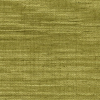 LN11804 green sisal grasscloth wallpaper from the Luxe Retreat collection by Lillian August