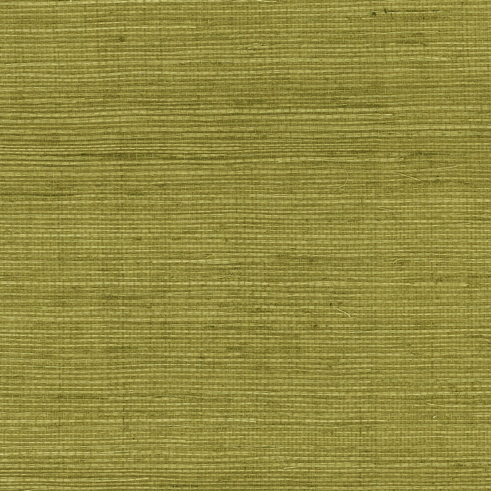 LN11804 green sisal grasscloth wallpaper from the Luxe Retreat collection by Lillian August