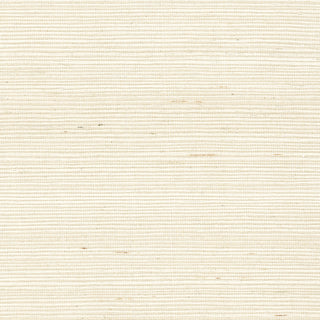 LN11810 shimmer white sisal grasscloth wallpaper from the Luxe Retreat collection by Lillian August