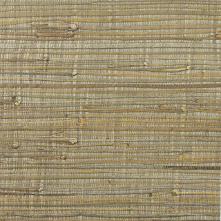 LN11833 grasscloth wallpaper rushcloth Lillian August