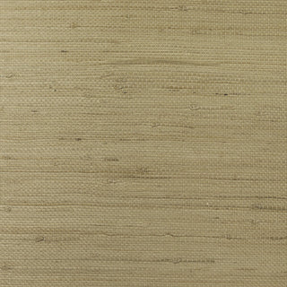 LN11875 grasscloth wallpaper jute Lillian August