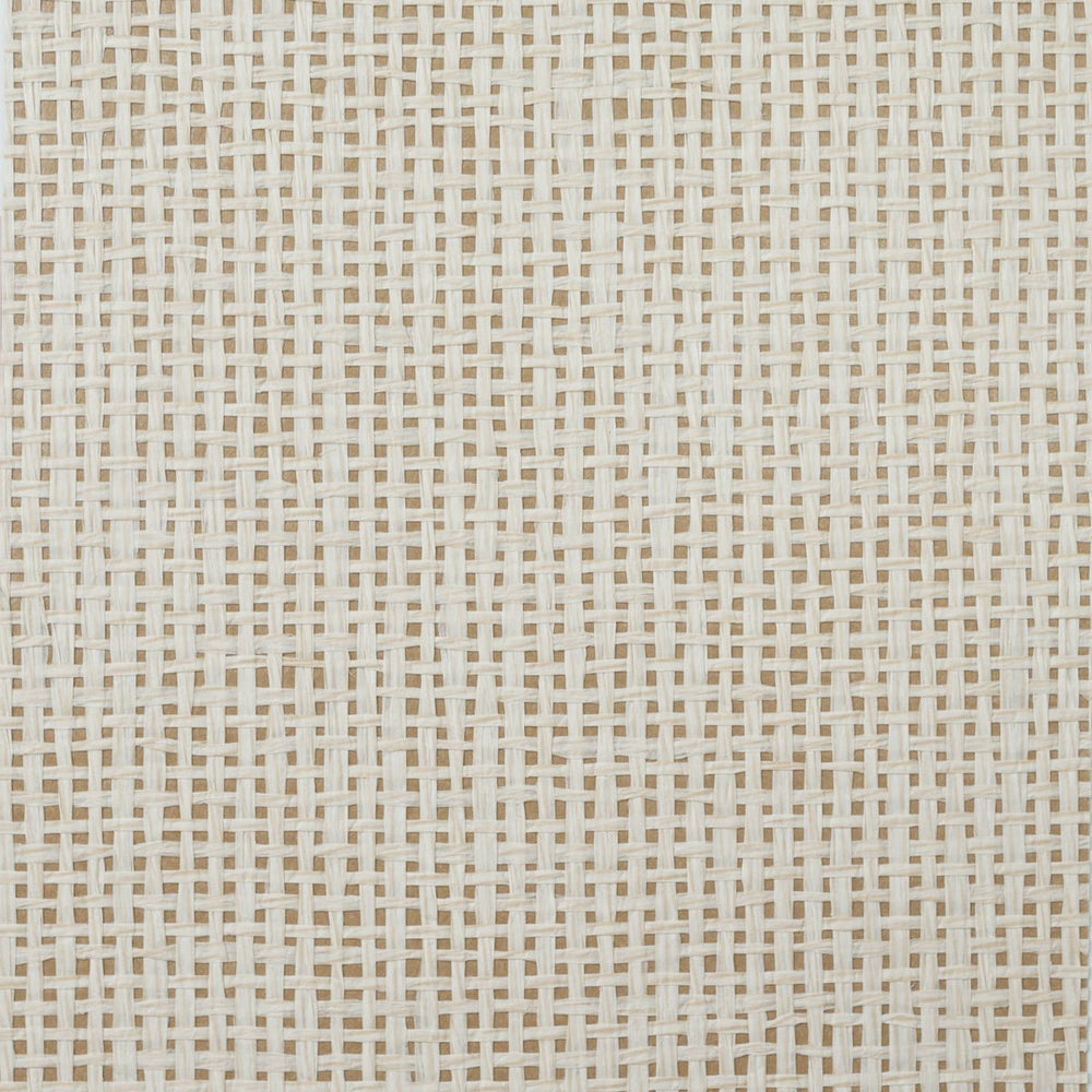 LN11890 Paperweave Grasscloth Wallpaper