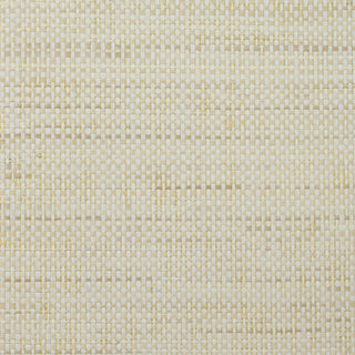 LN11891 paperweave grasscloth wallpaper from Lillian August