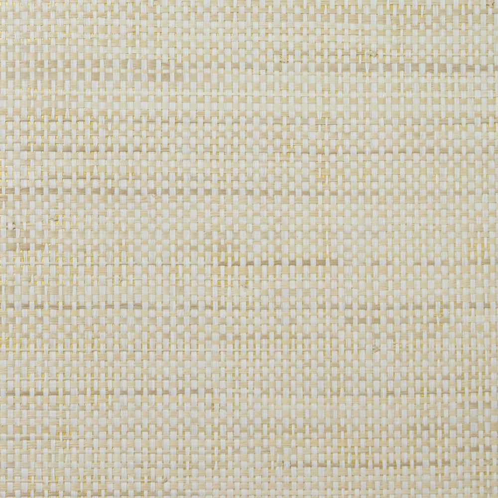 LN11891 Paper and Raffia Grasscloth Wallpaper