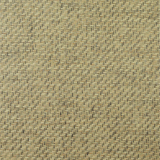 LN11894 paperweave grasscloth wallpaper from Lillian August