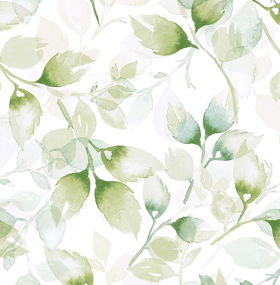 LN31104 watercolor leaf peel and stick wallpaper from Lillian August