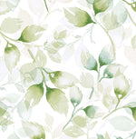 LN31104 watercolor leaf peel and stick wallpaper from Lillian August