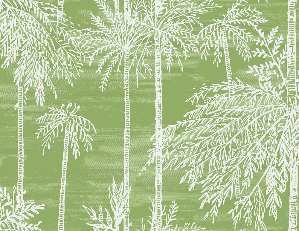 LN40204 palm leaf embossed vinyl wallpaper from Lillian August