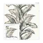 LN40600 palm leaf textured vinyl wallpaper scale from the Coastal Haven collection by Lillian August