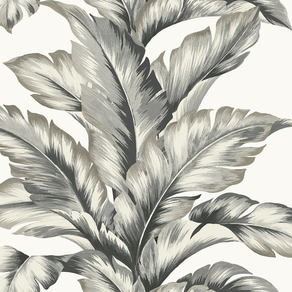 
                  
                    LN40600 palm leaf textured vinyl wallpaper from the Coastal Haven collection by Lillian August
                  
                