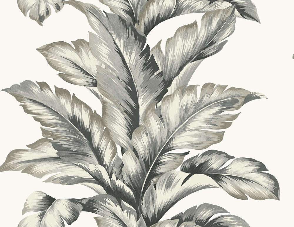 LN40600 palm leaf textured vinyl wallpaper from the Coastal Haven collection by Lillian August