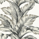 LN40600 palm leaf textured vinyl wallpaper from the Coastal Haven collection by Lillian August