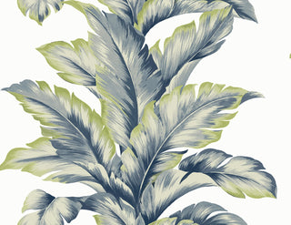 LN40602 palm leaf textured vinyl wallpaper from the Coastal Haven collection by Lillian August