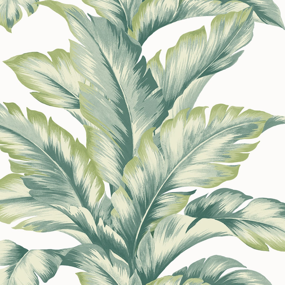 
                  
                    LN40604 palm leaf textured vinyl wallpaper from the Coastal Haven collection by Lillian August
                  
                