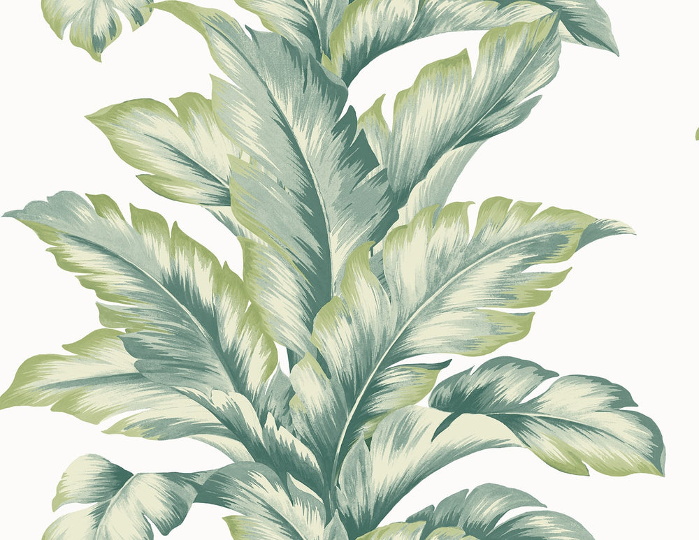 LN40604 palm leaf textured vinyl wallpaper from the Coastal Haven collection by Lillian August