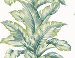 LN40604 palm leaf textured vinyl wallpaper from the Coastal Haven collection by Lillian August