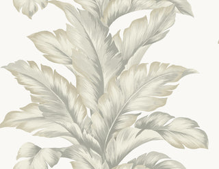 LN40607 palm leaf textured vinyl wallpaper from the Coastal Haven collection by Lillian August
