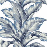 LN40612 palm leaf textured vinyl wallpaper from the Coastal Haven collection by Lillian August