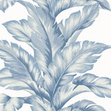LN40632 palm leaf textured vinyl wallpaper from the Coastal Haven collection by Lillian August