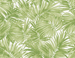 LN40704 tossed palm embossed vinyl wallpaper from Lillian August