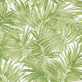 LN40704 tossed palm embossed vinyl wallpaper from Lillian August