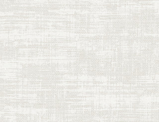 LW50300 faux wallpaper from the Living with Art collection by Seabrook Designs