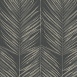 MB30000 palm leaf wallpaper from the Beach House collection by Seabrook Designs