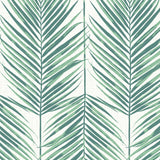 MB30014 palm leaf wallpaper from the Beach House collection by Seabrook Designs