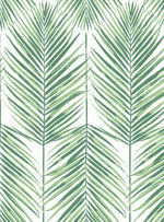 MB30034 palm leaf wallpaper from the Beach House collection by Seabrook Designs
